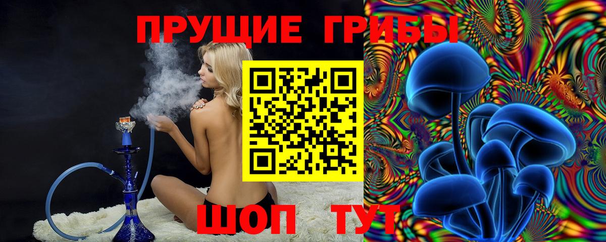 Псилоцибиновые грибы Psilocybine cubensis Нижний Тагил