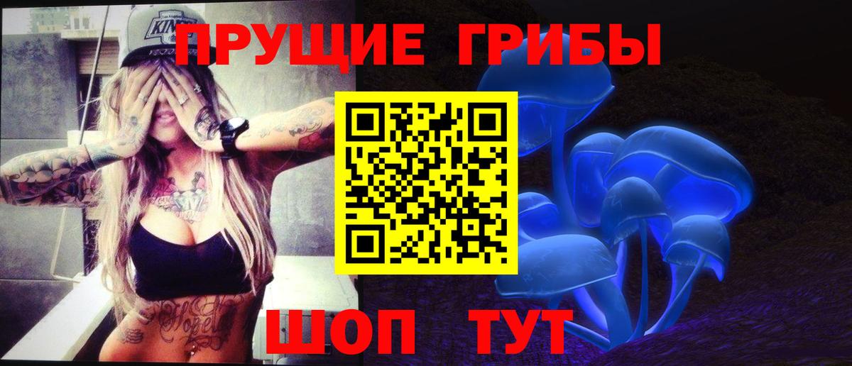 Нижний Тагил  Псилоцибиновые грибы Magic Shrooms  Псилоцибиновые грибы GOLDEN TEACHER  Вход с VPN 